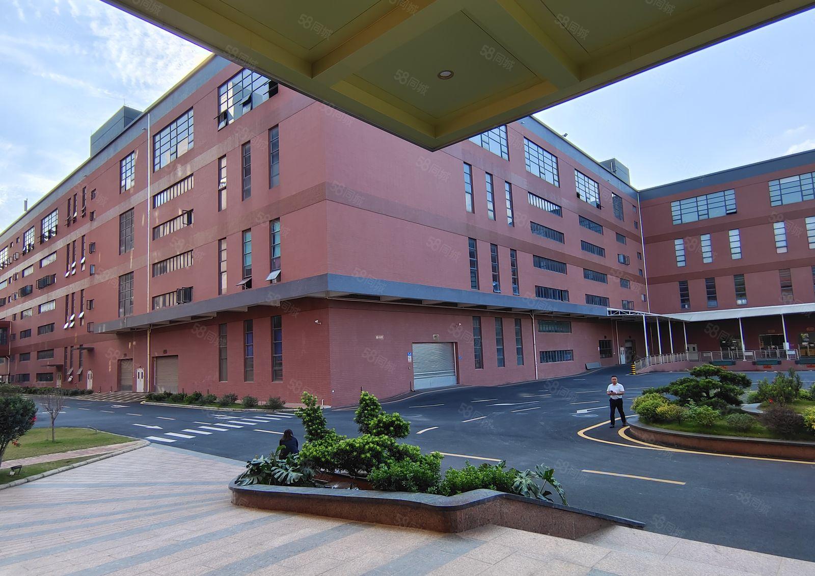 5百1千3千平起租龙溪6万平原房东厂房仓库出租可办环评带红本