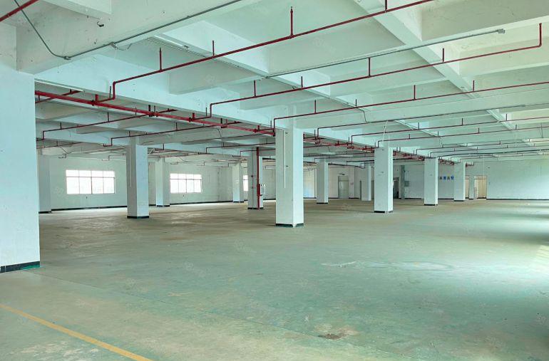 （原房东独院）园洲9块每平独院厂房