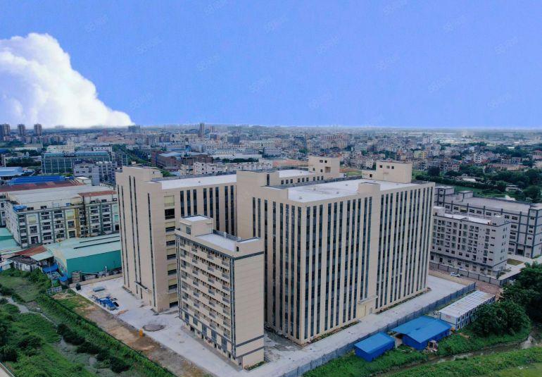 园洲镇原房东独院标准厂房61600平带现成蒸汽