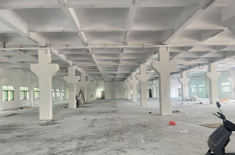 石湾原房东厂房出租独院，适合五金电子研发科技加工等行业空地大