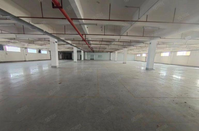 园洲一手房东尾盘4600平只租6块钱实际面积