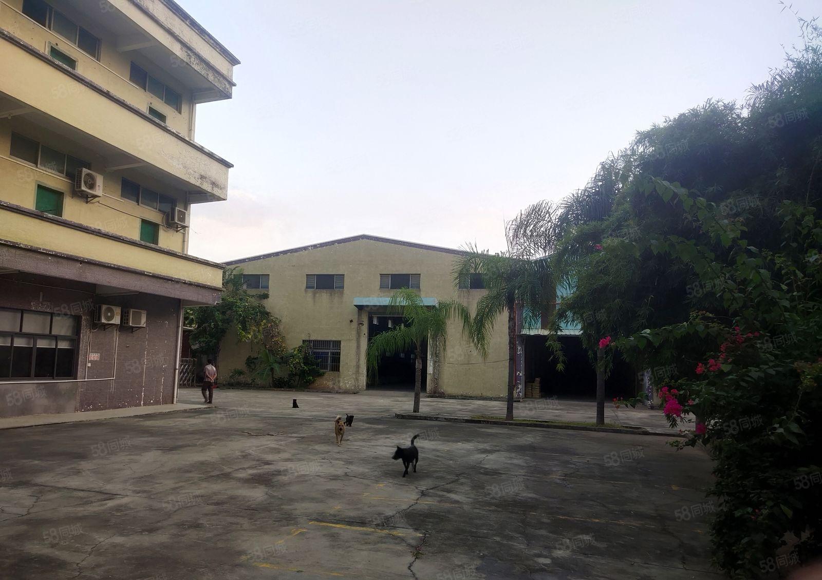 龙溪花园式独院厂房出租4800平方，水电带现成装修，可办环评