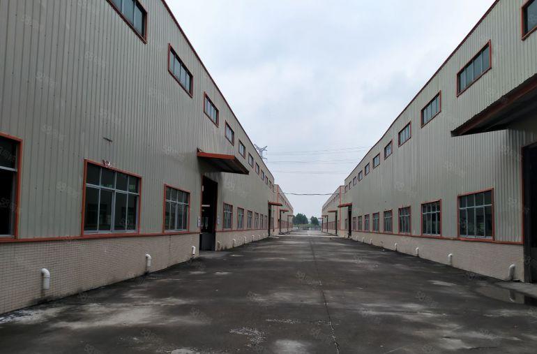 石湾沙埔高速路口新出独门独户钢构2.4万平方可生产可仓库可分