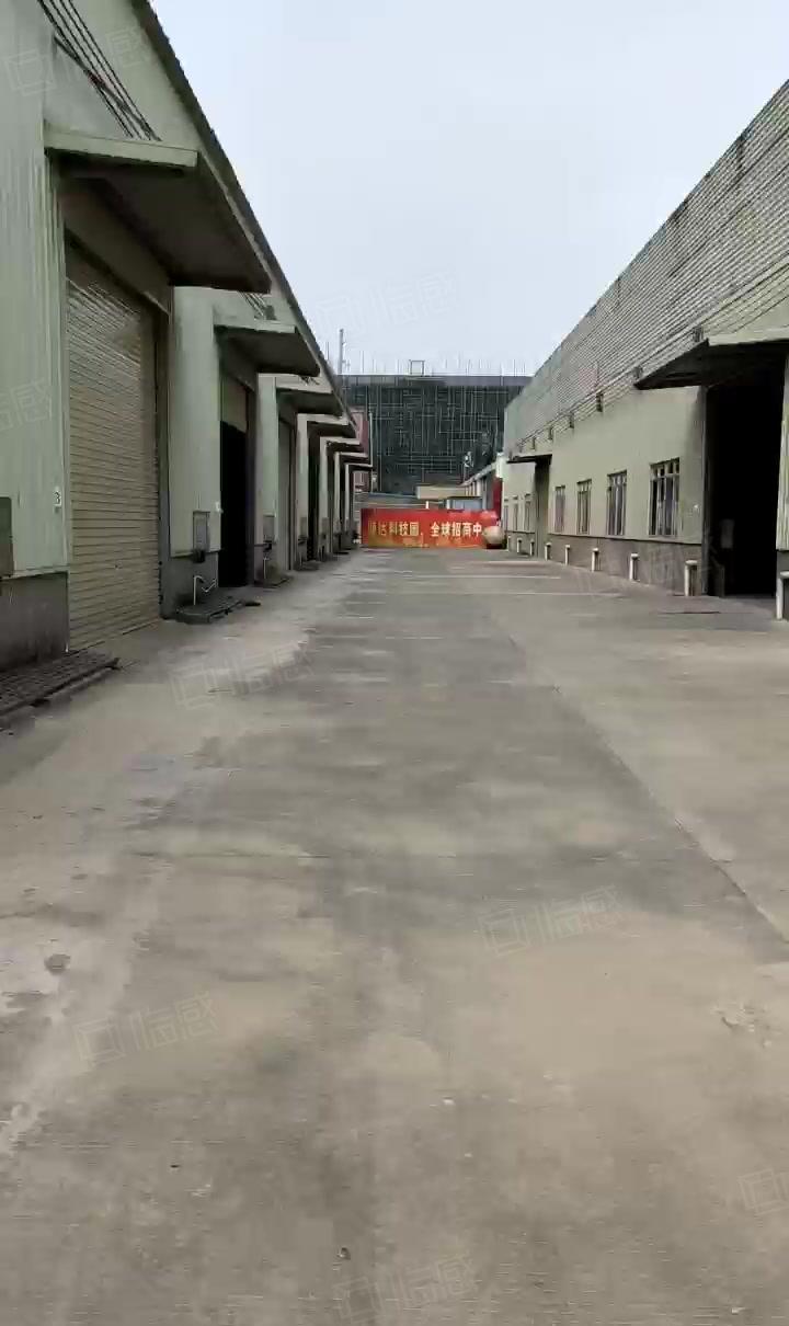 石湾大道也单一层钢构厂房5000平方，500平方起分租