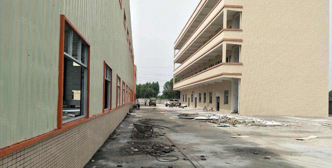 石湾镇单一层钢构厂房出租层高9米