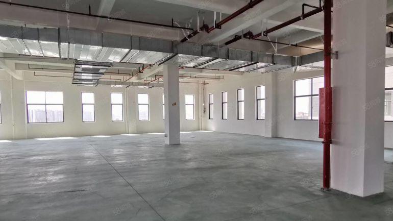 惠州金龙大道附近全新标准厂房12400平方低价出租