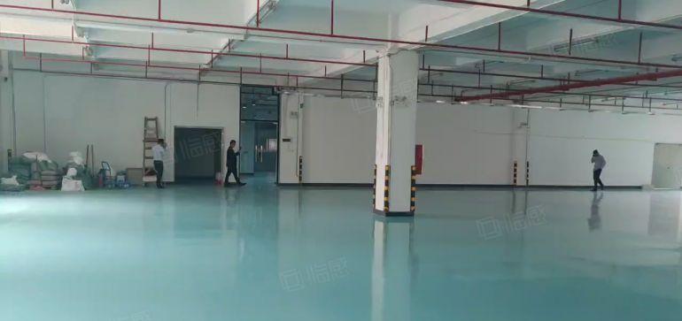 园洲九潭楼上精装修红本厂房办公室2000平方可办环评可分租