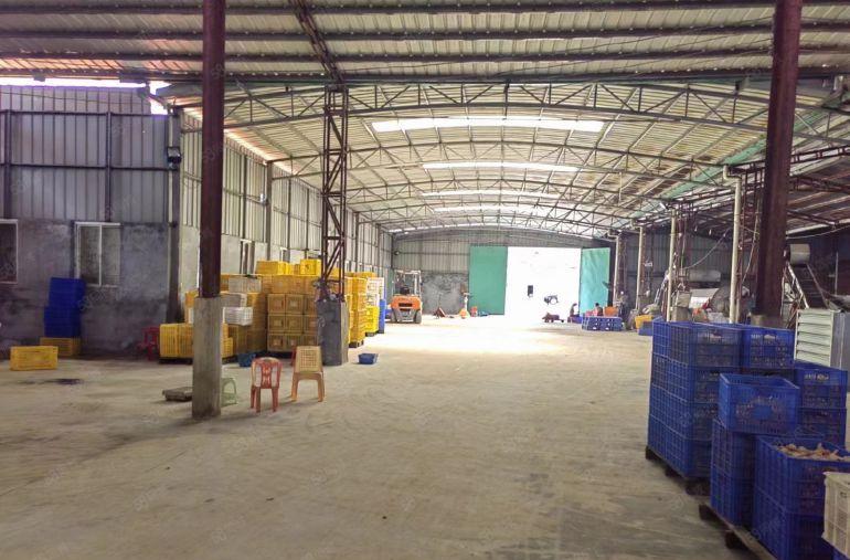 博罗县罗阳镇低价偏僻单一层1000平方