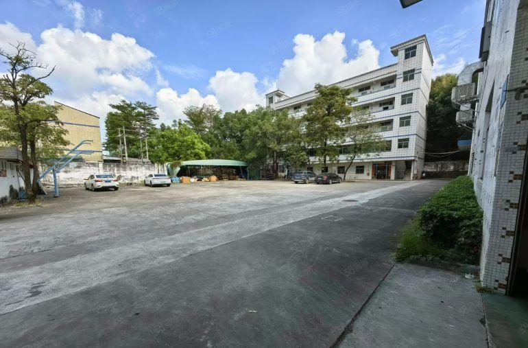 石湾原房东5000平独门独院厂房办公室仓库低价出租超大空地