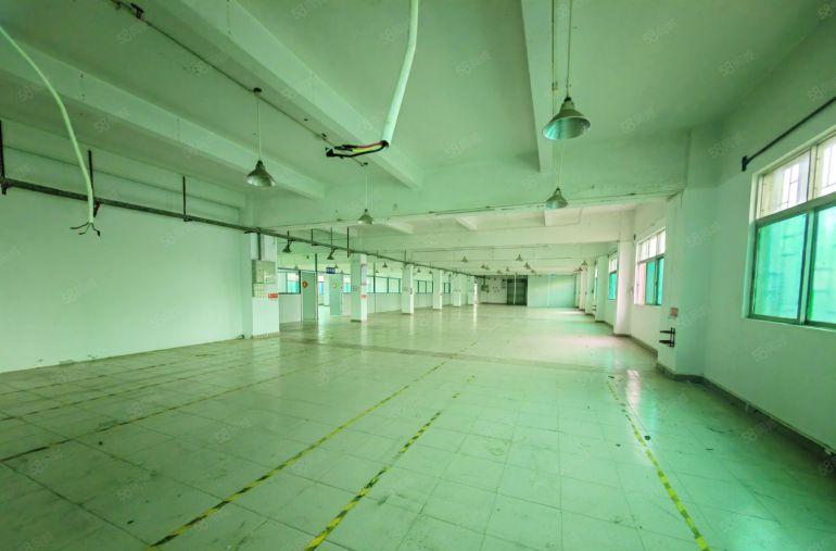 园洲上南本地老大哥厂房 现成现成办公室，车间水电 中心