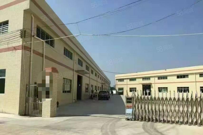 靓！钢构1000方，周边无民，格局方正，中间无柱子超实用