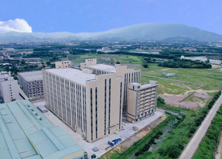 园洲镇原房东重工业标准厂房出租离高速路口一公里