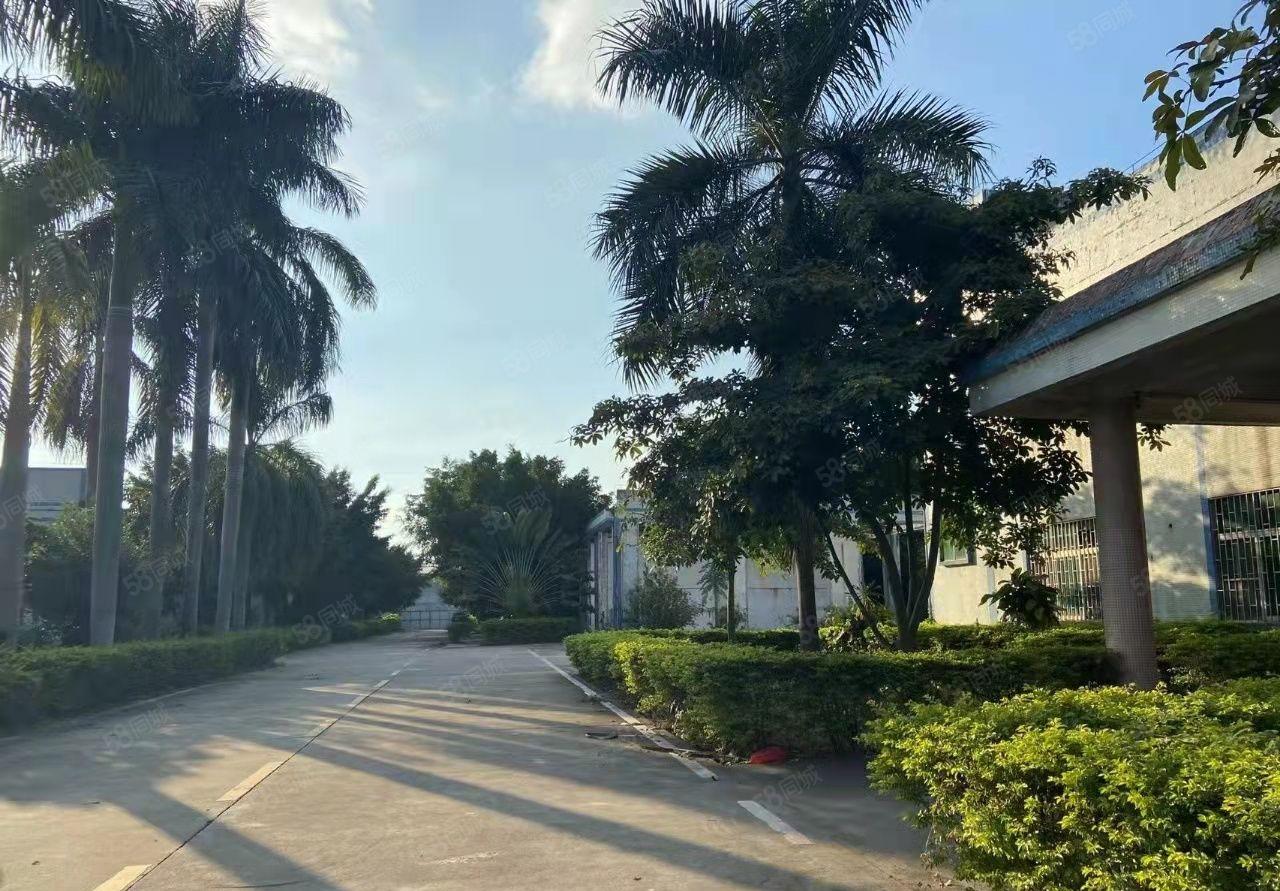 博罗石湾镇铁场村4500独院单一层钢构厂房村委原房东出租