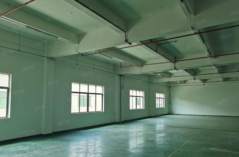 一手房东自建标准厂房，消防配套设施齐全，带货梯，交通便利