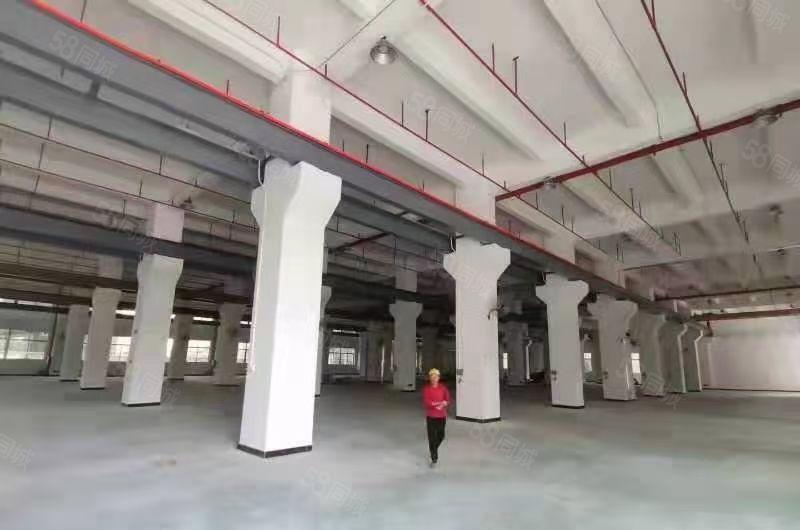 龙溪镇靠近桥头标准工业园楼房出租，800平方起分可以小污染