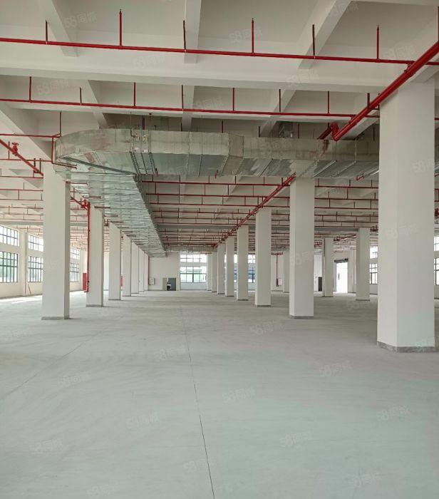 石湾镇标准厂房出租6400平方共4层价格便宜容易招工