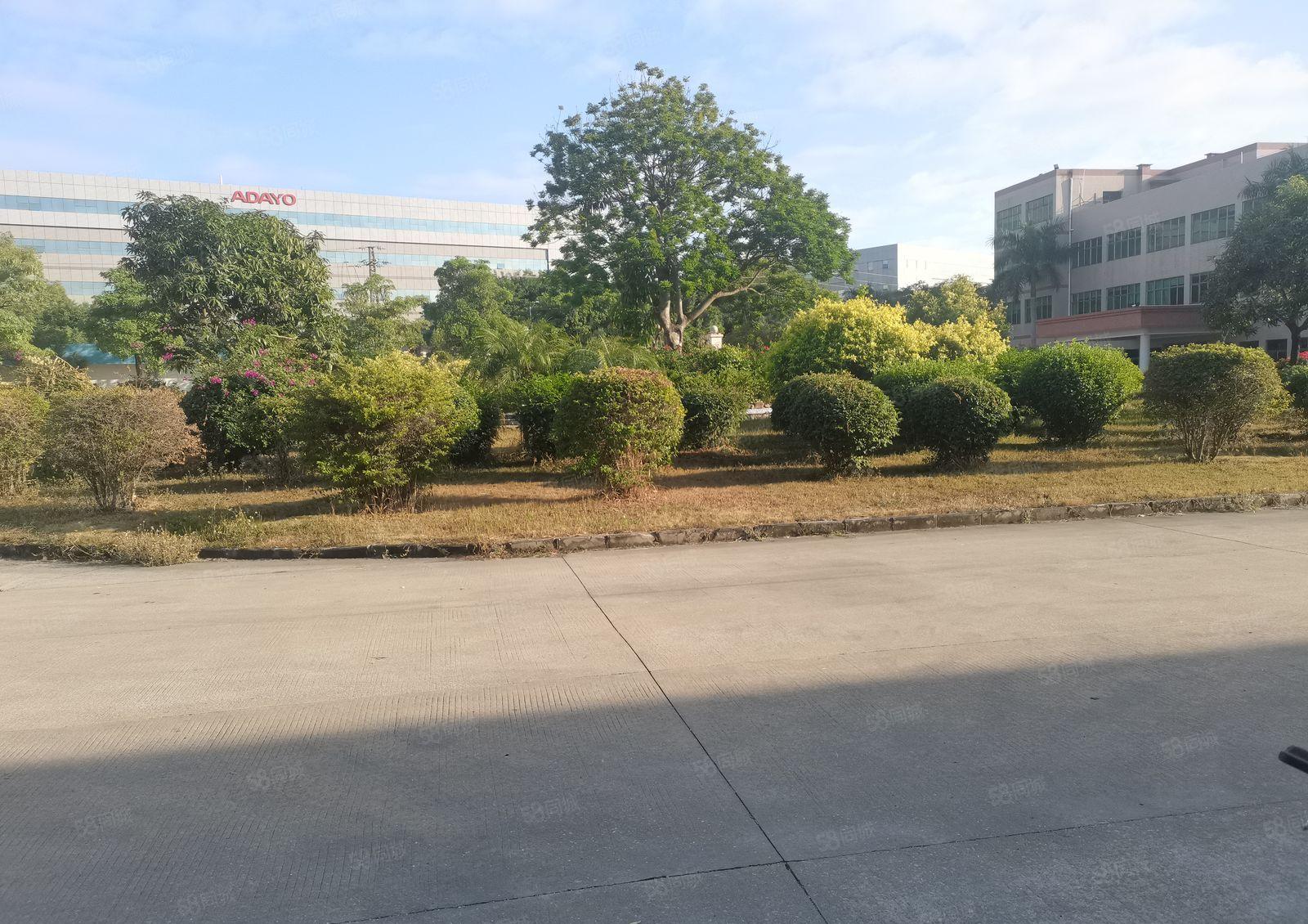 惠州大岭多祝原房东钢构6000平米厂房出租可分租可办环评急租