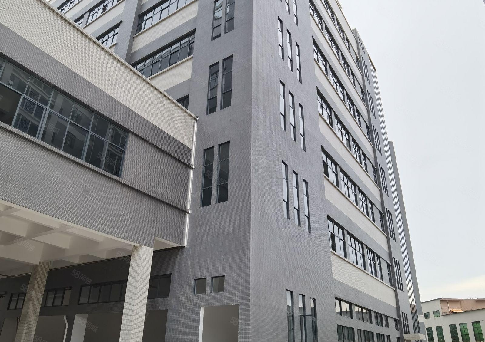 惠东平潭镇60000平方全新红本标准厂房原房东招租可分租