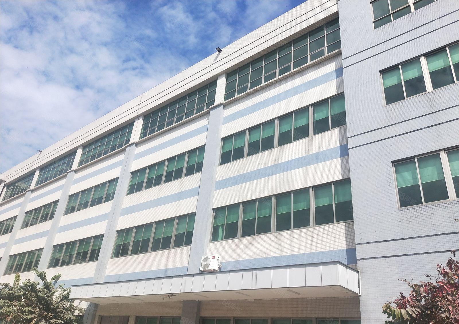 惠东县黄埠镇花园式独门独院红本标准厂房4800平，可办环评