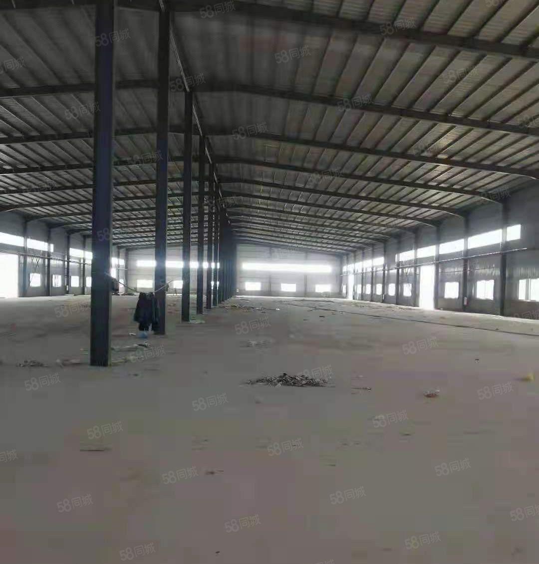 惠东白花滴水8米高全新钢构4栋16000平米，合同10年