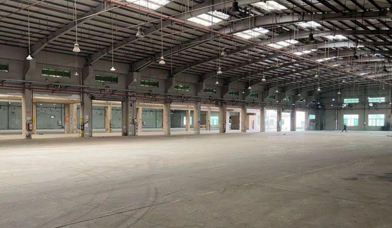 惠东大岭工业钢结构厂房16000平米，滴水11米，超大空地