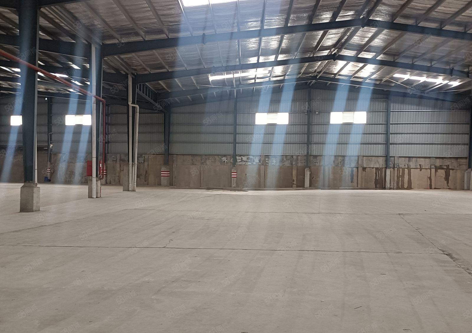 惠东淡水白花镇12米高钢结构独院厂房 消防设备齐全厂房 出租