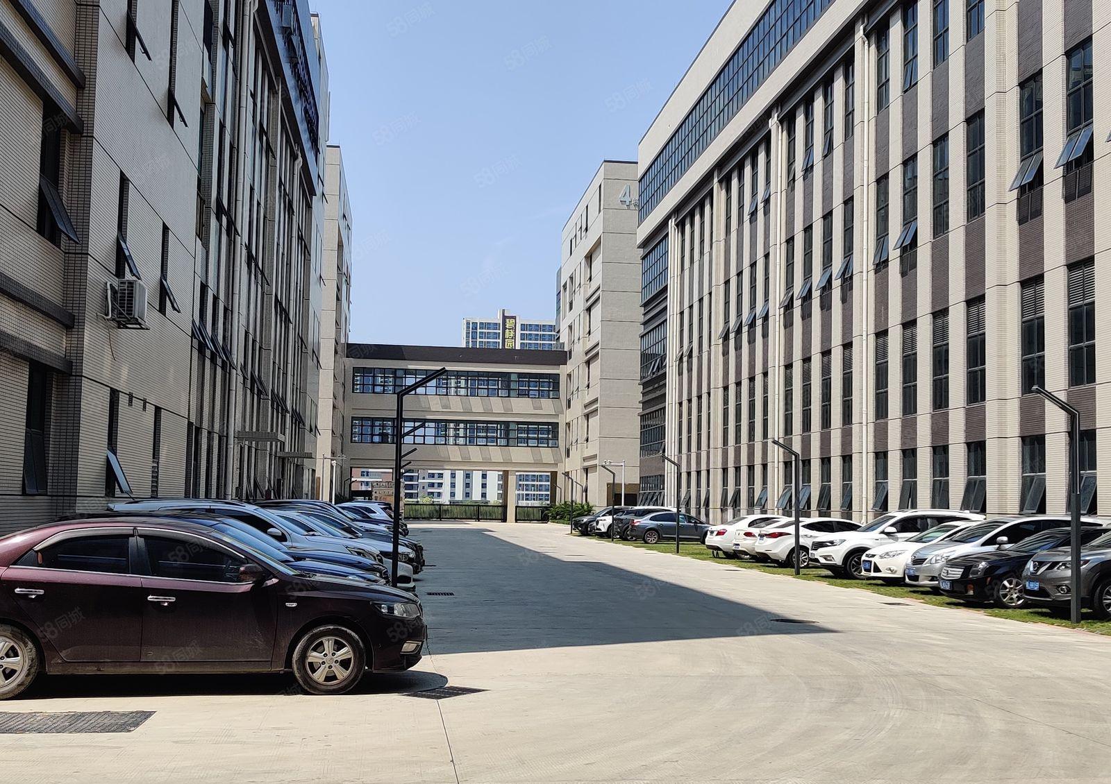 惠东大岭园区红本厂房招租200平起分两部三吨电梯可办环评