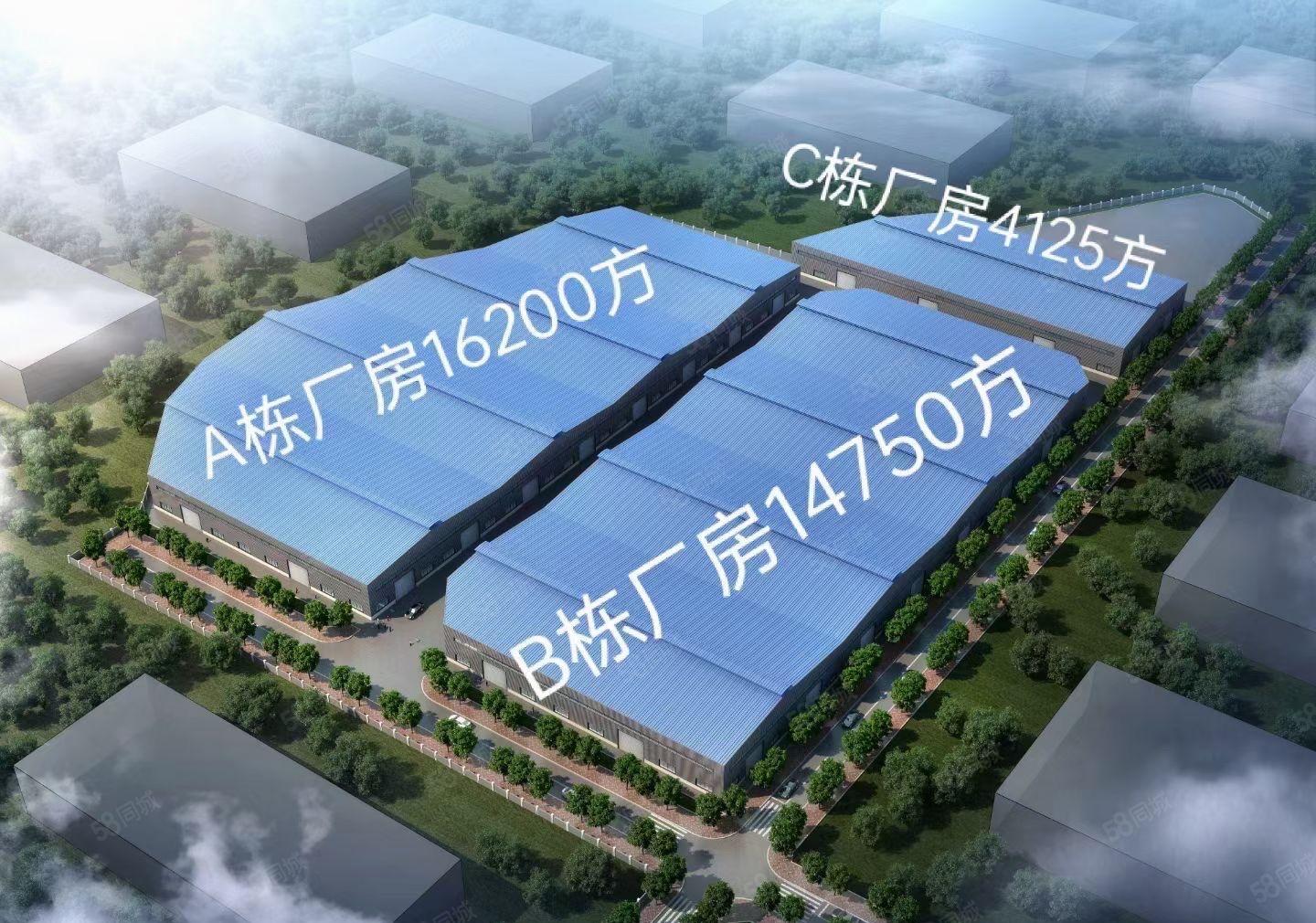 稀有滴水9米高大面积钢构出租，约3.5万平方，大小可以分租