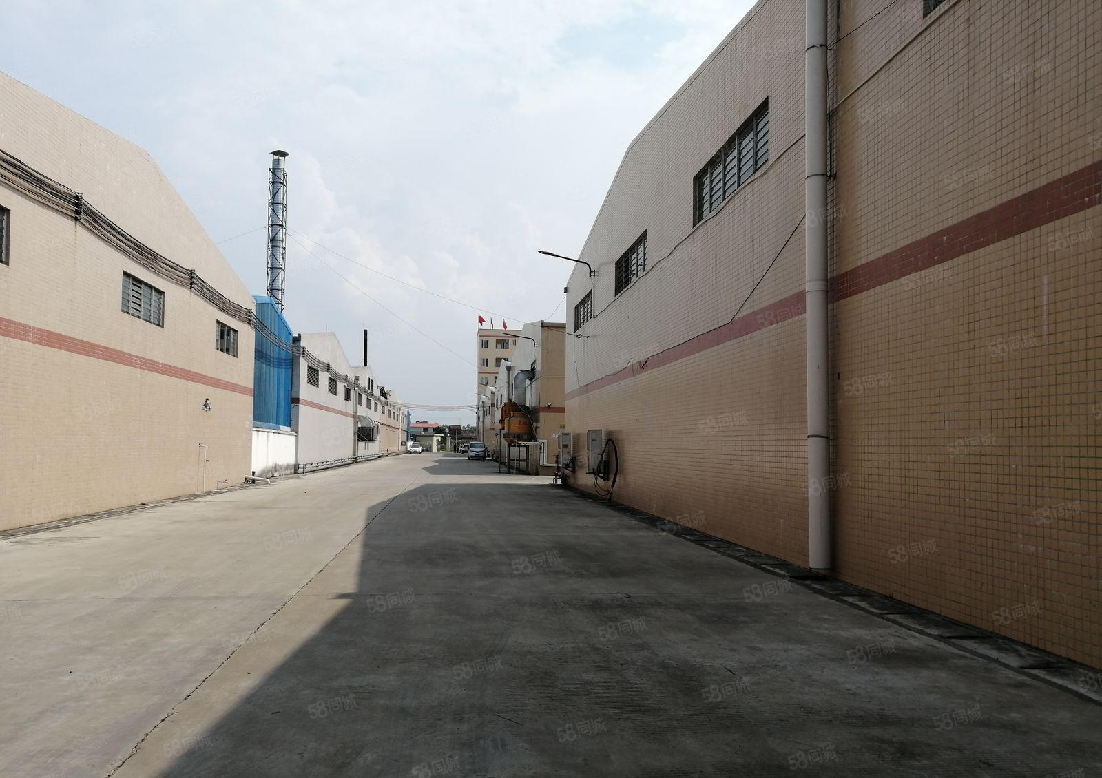 1千2千5千平分租惠东大岭工业区原房东5万平钢构厂房仓库出租