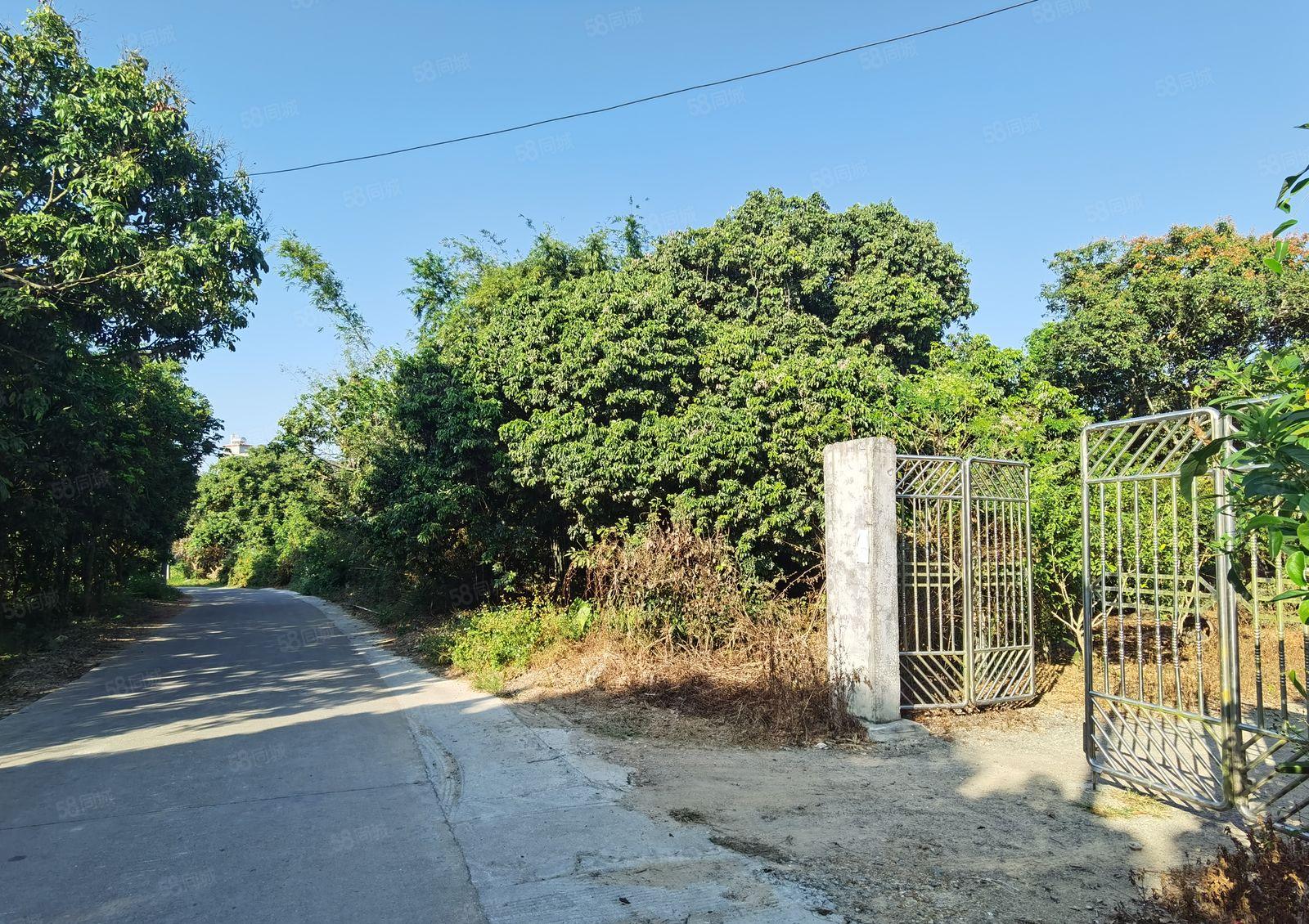 惠东县白花镇偏远树林中独门独院500平可做破碎钢结构厂房出租