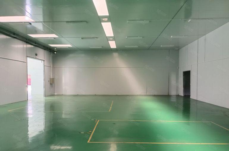 9块！惠东大岭9米钢构1600平原房东厂房仓库出租带地坪漆