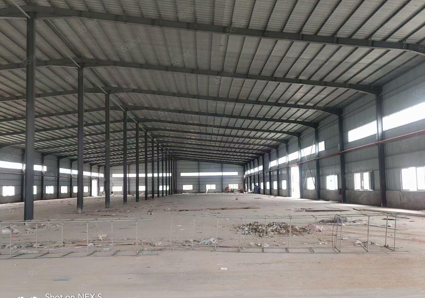 惠东淡水白花镇12米高钢结构独院厂房 消防设备齐全厂房 出租