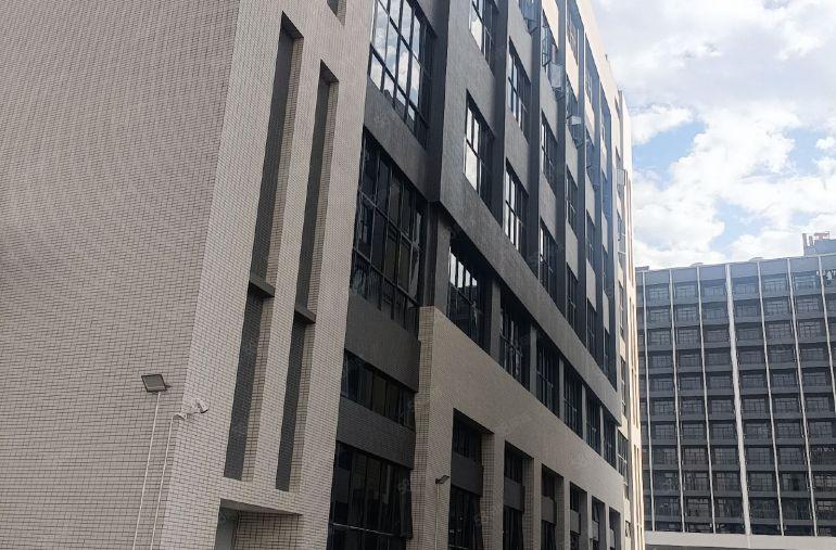 滴水7米！惠东大岭标准厂房出租出售，可做喷油喷粉电池行业