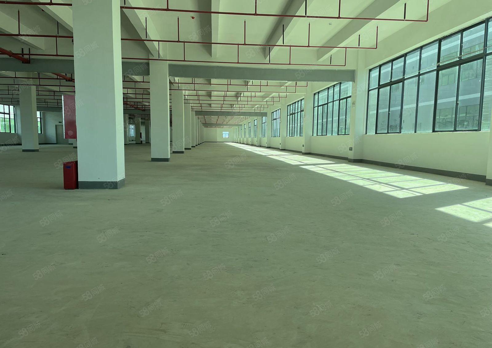 白花一楼7米3000平红本厂房出租 原房东零公摊 证件齐全