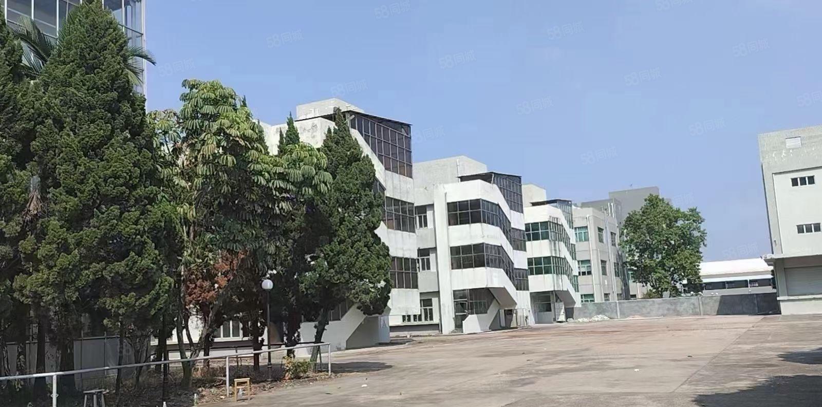 出租大岭鞋材市场附近电梯3楼，520平方淘宝办公室，11元