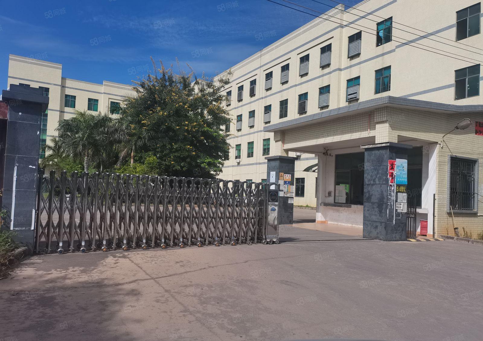 惠州惠东大岭独院厂房8000 平米厂房出租原房东出租可分租