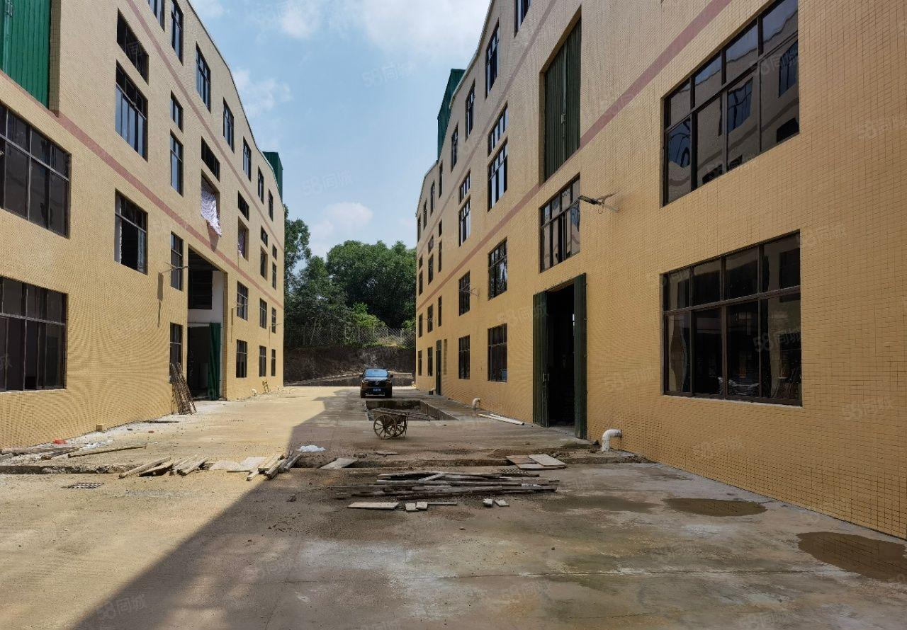 惠州市惠东吉隆镇独栋10500平全新钢结构厂房重工业