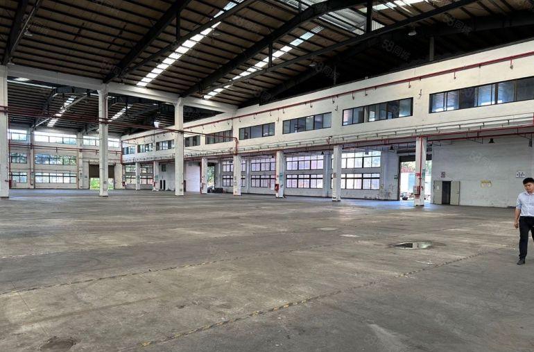 惠东大岭原房东独院5800平方滴水8.5米