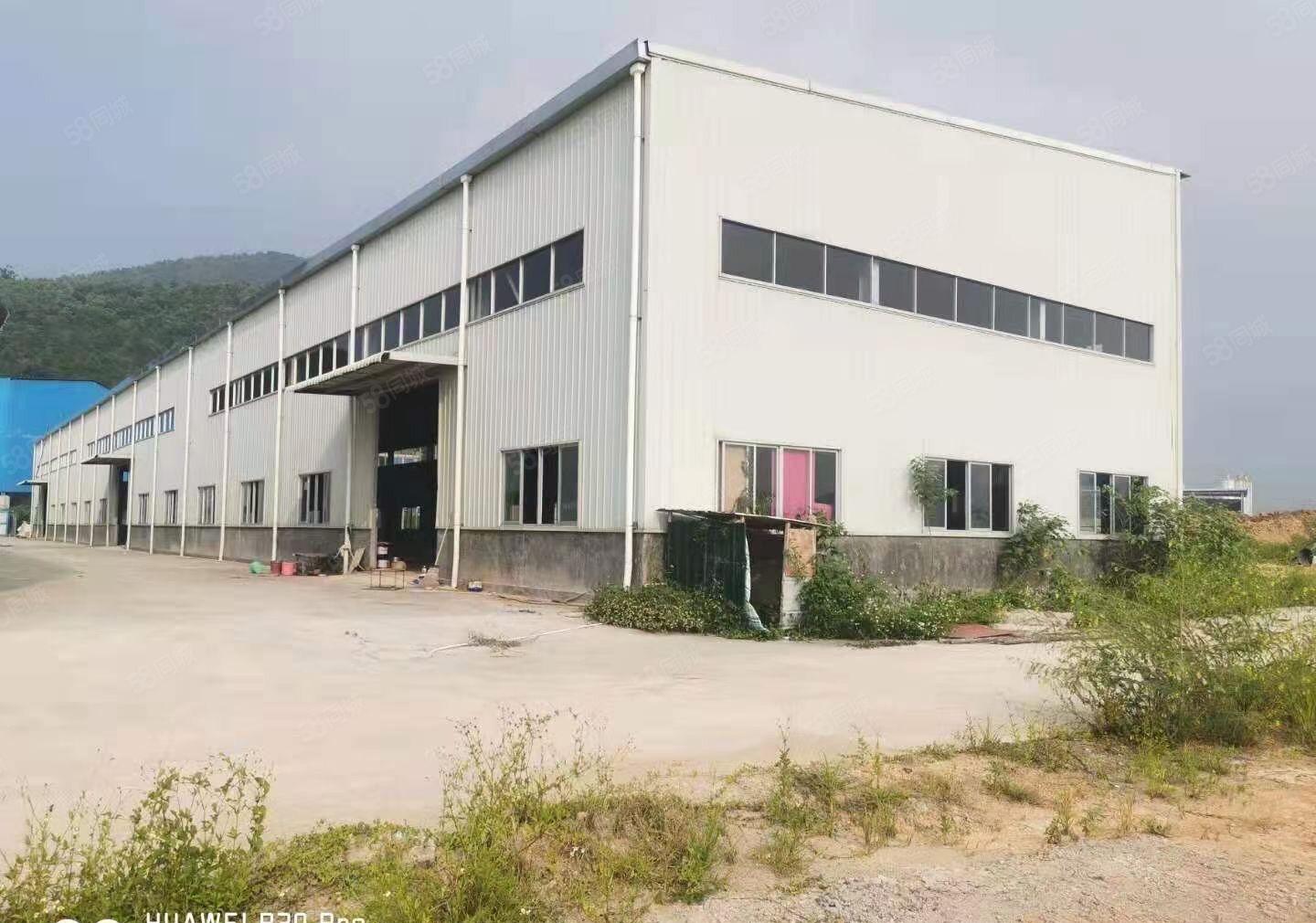 惠东白花原房东单一层独院厂房18000平方可以分租