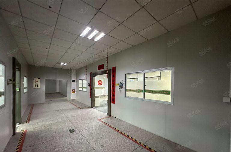 8元大岭厂房出租800平楼上精装厂房原房东低价出租红本带环评