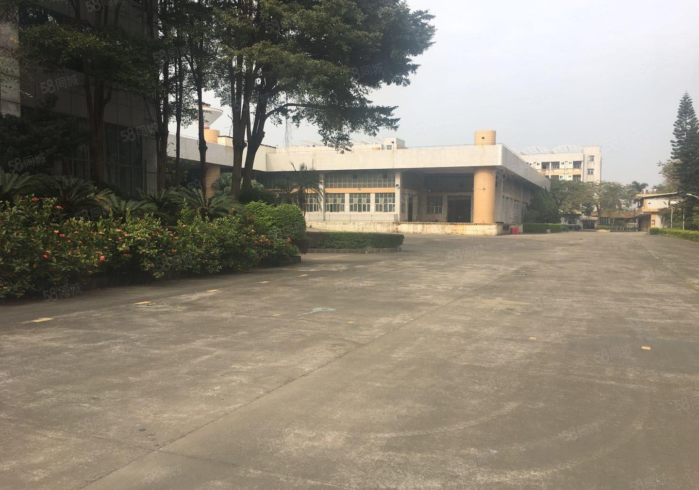 惠州市惠阳区平潭镇9米高钢构厂房出租厂房面积4290平方