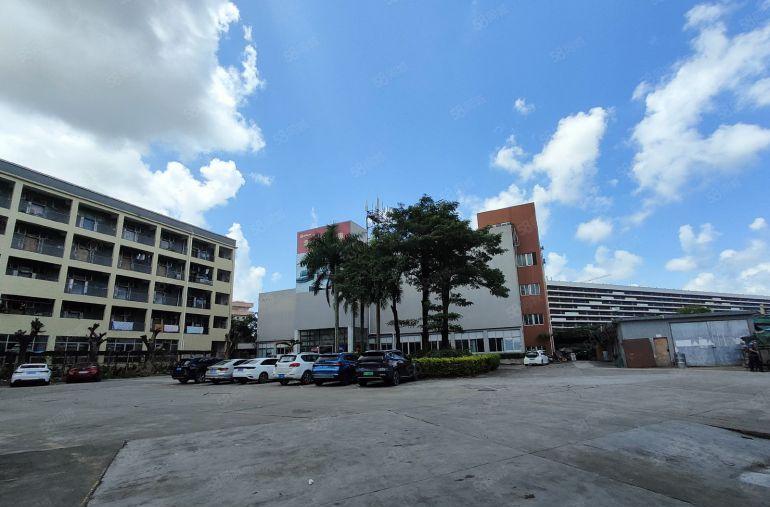 惠东大岭8元起3000平方厂房仓库一楼低价出租200平起分