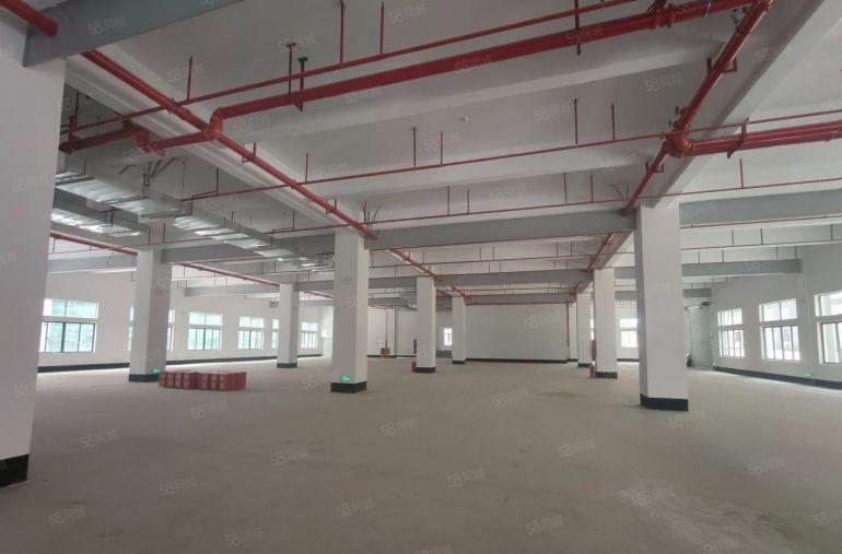 5.8元惠东大岭原房东M2全新厂房1850平米出租（无公摊）