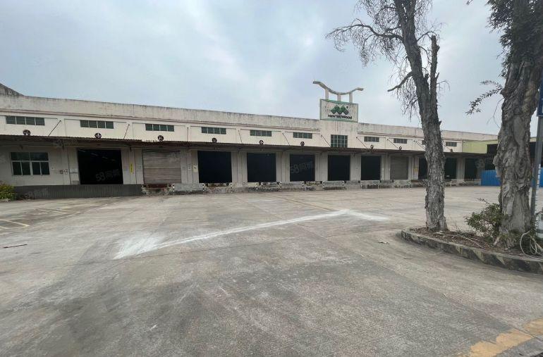 惠东红本单一层砖墙到顶13米高空地超大