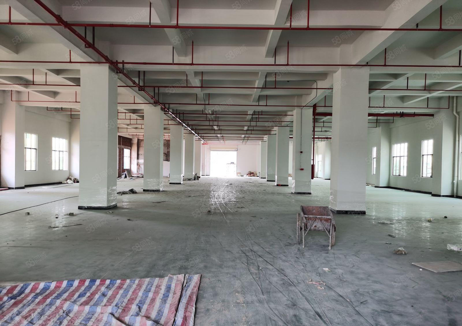 惠东县民营工业区独院全新标准厂房面积8000平米出租