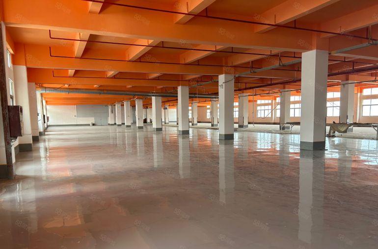 惠东黄埠独院厂房出租7800平方带喷淋也可任意分租