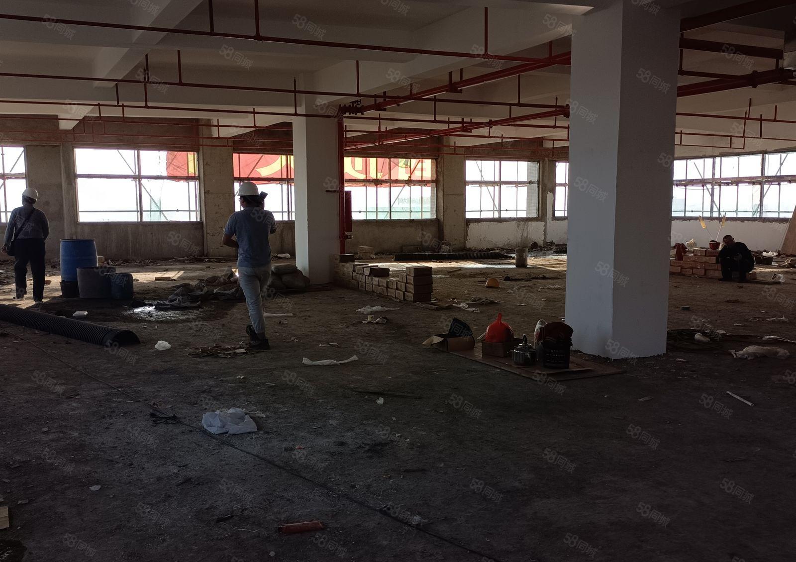 惠东原房东全新厂房 电梯厂房出租 可给物业包租的厂房