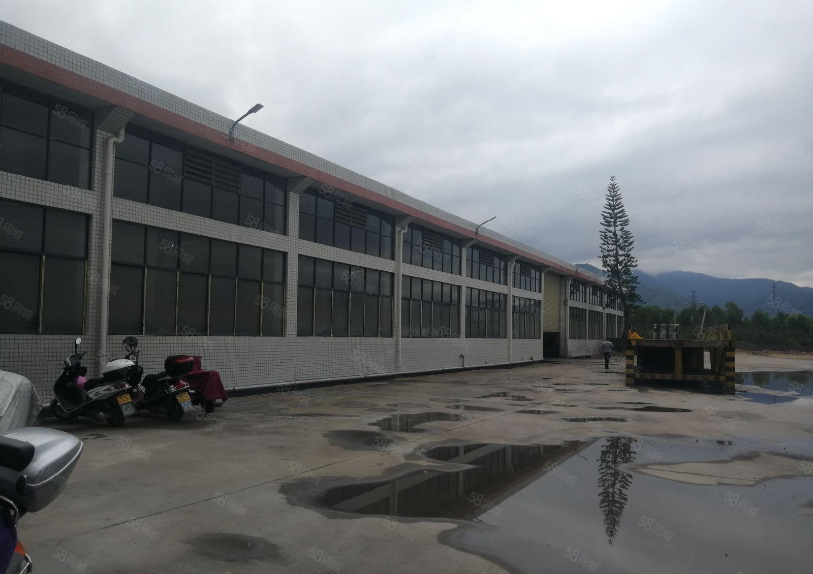 惠东5000平米多祝温泉附近单一层标准厂房出租可办环评