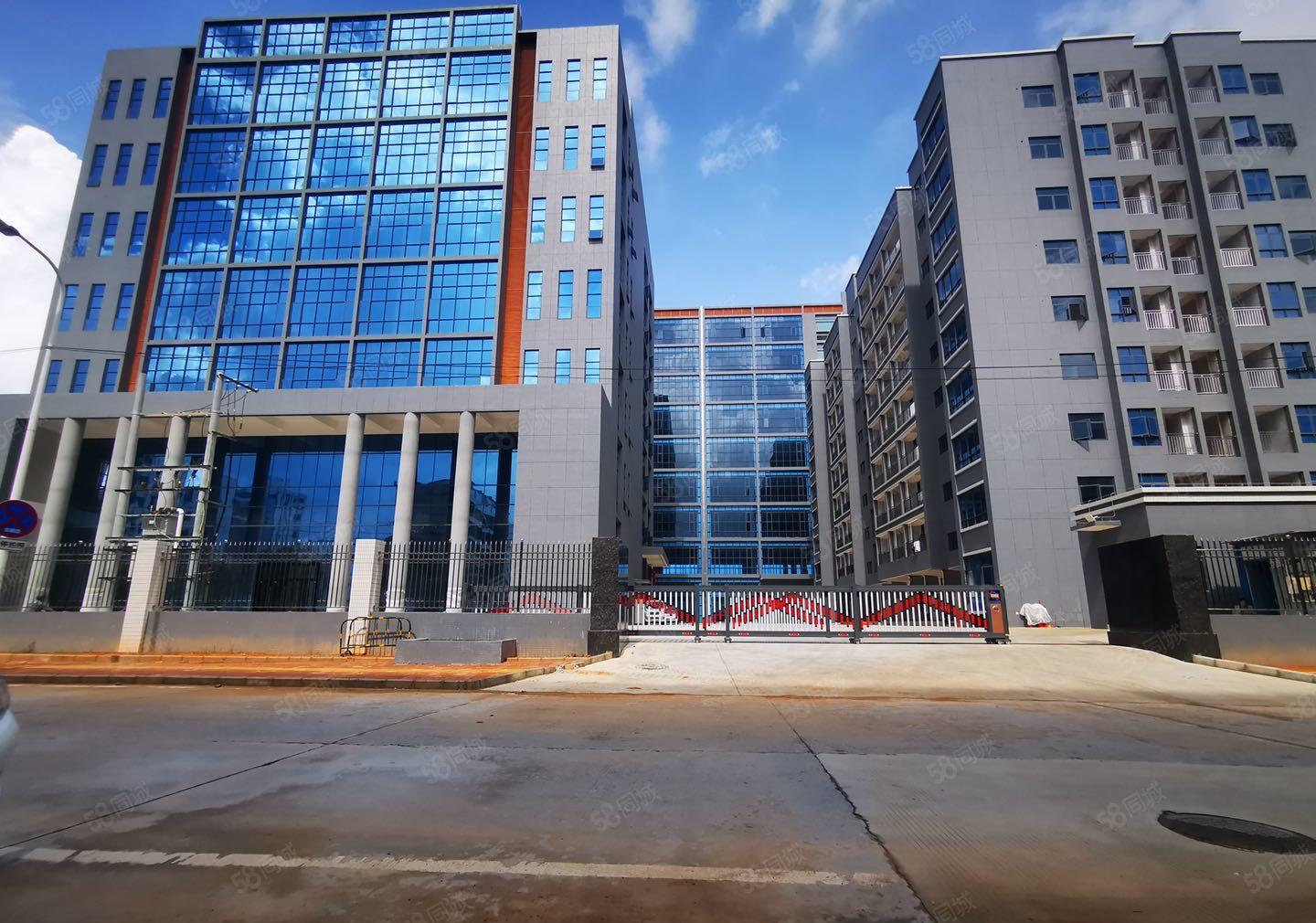 惠东白花全新红本标准园区5万平厂房出租 形象好 玻璃外墙