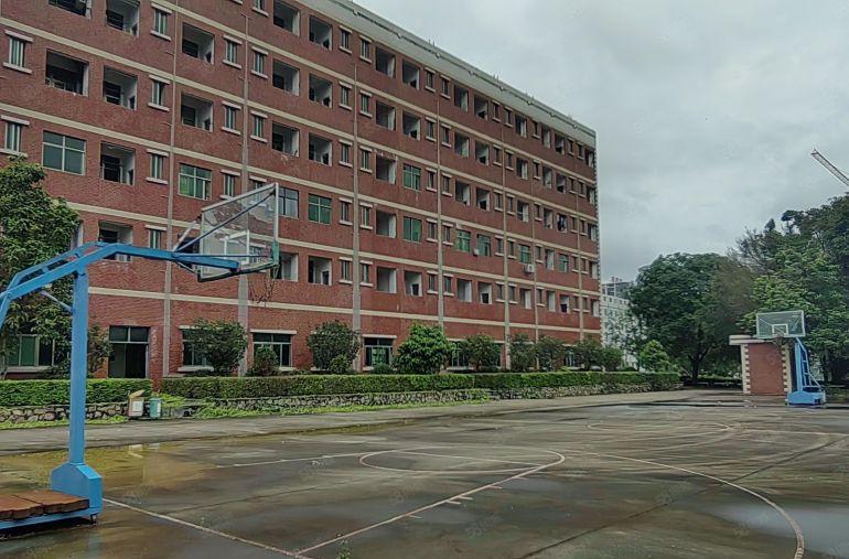 惠东县大岭镇4.5万平方红本单层钢构厂房，5.5万平空地配套